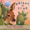 Book cover for "Bright star".