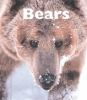 Book cover for "Bears".