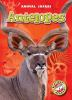 Book cover for "Antelopes".