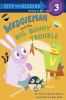 Book cover for "Wedgieman and the big bunny trouble".