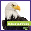 Book cover for "Bald eagles".