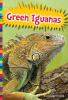 Book cover for "Green iguanas".