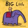 Book cover for "Big little".