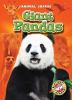 Book cover for "Giant pandas".