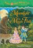 Book cover for "Moonlight on the magic flute".