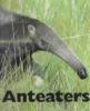 Book cover for "Anteaters".