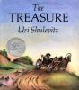 Book cover for "The treasure".