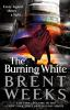 Book cover for "The burning white".