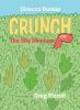 Book cover for Crunch, the shy dinosaur.