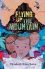 Book cover for Flying up the mountain.