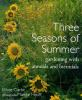 Book cover for "Three seasons of summer".