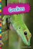 Book cover for "Geckos".