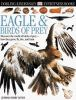 Book cover for "Eagle & birds of prey".