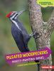 Book cover for "Pileated woodpeckers".