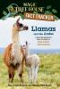 Book cover for "Llamas and the Andes".