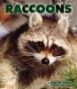 Book cover for "Raccoons".