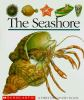 Book cover for "The seashore".