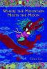 Book cover for Where the mountain meets the moon.