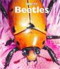 Book cover for "Beetles".