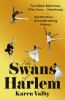 Book cover for "The swans of Harlem"