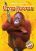 Book cover for "Orangutans".