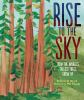 Book cover for Rise to the sky.