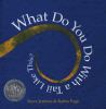 Book cover for "What do you do with a tail like this?".