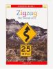 Book cover for "Zigzag".