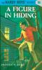 Book cover for "A figure in hiding".