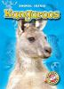 Book cover for "Kangaroos".