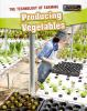 Book cover for "Producing vegetables".