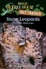 Book cover for "Snow leopards and other wild cats".