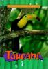 Book cover for "Toucans".