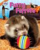 Book cover for "Furry ferrets".