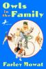 Book cover for Owls in the family.