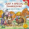 Book cover for "Just a special Thanksgiving".