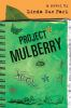 Book cover for Project Mulberry.