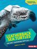 Book cover for "Leatherback sea turtles".