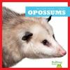 Book cover for "Opossums".