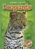 Book cover for "Leopards".