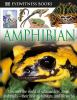 Book cover for "Amphibian".