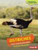 Book cover for "Ostriches".