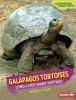 Book cover for "Galapagos tortoises".