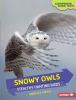 Book cover for "Snowy owls".