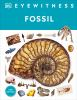 Book cover for "Fossil".