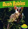 Book cover for "Bush babies".