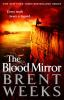 Book cover for "The blood mirror".