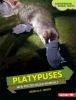 Book cover for "Platypuses".