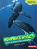 Book cover for "Humpback whales".