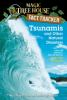 Book cover for "Tsunamis and other natural disasters".